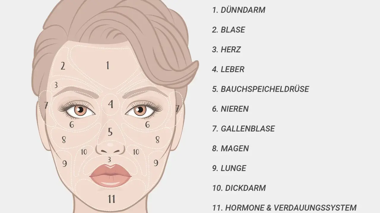 Gesichtskarte mit Zonen, die auf innere Organe verweisen. Ein kleiner knubbel im Gesicht kann auf Probleme mit dem Verdauungssystem (11) hindeuten.