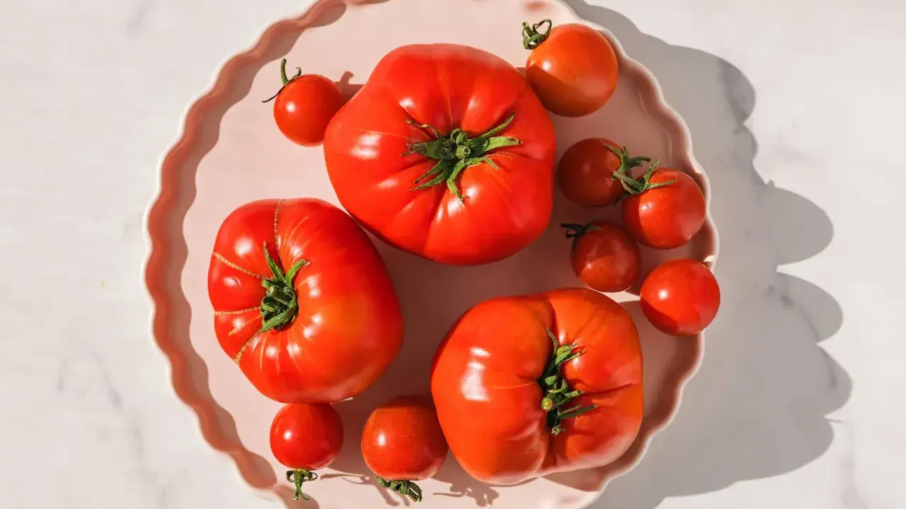 Frische Tomaten auf rosa Teller. Tomatensaft Wirkung Haut: Lycopin für jugendliche Haut.