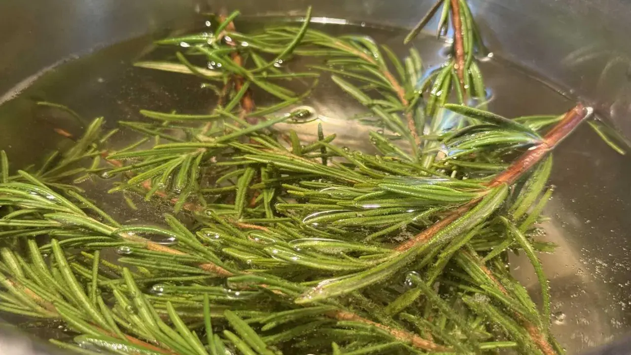 Frische Rosmarinzweige in klarem Wasser, bereit, um Rosmarinwasser für die Haare selber zu machen.