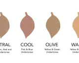 Vier Farbproben zeigen, wie man den unterton haut bestimmt: Neutral, Cool, Olive und Warm.