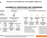 Was tun bei Haarbruch? Die Grafik erklärt Ursachen wie mechanische Belastung und Hitze, sowie Schritte zur Stabilisierung: regelmäßiger Schnitt, milde Reinigung, Spülung, Kur und Hitzeschutz.