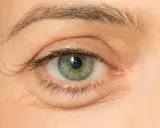 Nahaufnahme eines Auges mit knittriger Haut unter den Augen. Suche nach Hausmittel gegen Falten.