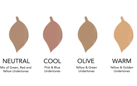 Vier Farbproben zeigen, wie man den unterton haut bestimmt: Neutral, Cool, Olive und Warm.