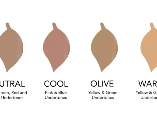 Vier Farbproben zeigen, wie man den unterton haut bestimmt: Neutral, Cool, Olive und Warm.
