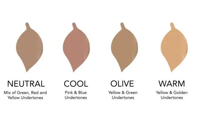 Vier Farbproben zeigen, wie man den unterton haut bestimmt: Neutral, Cool, Olive und Warm.