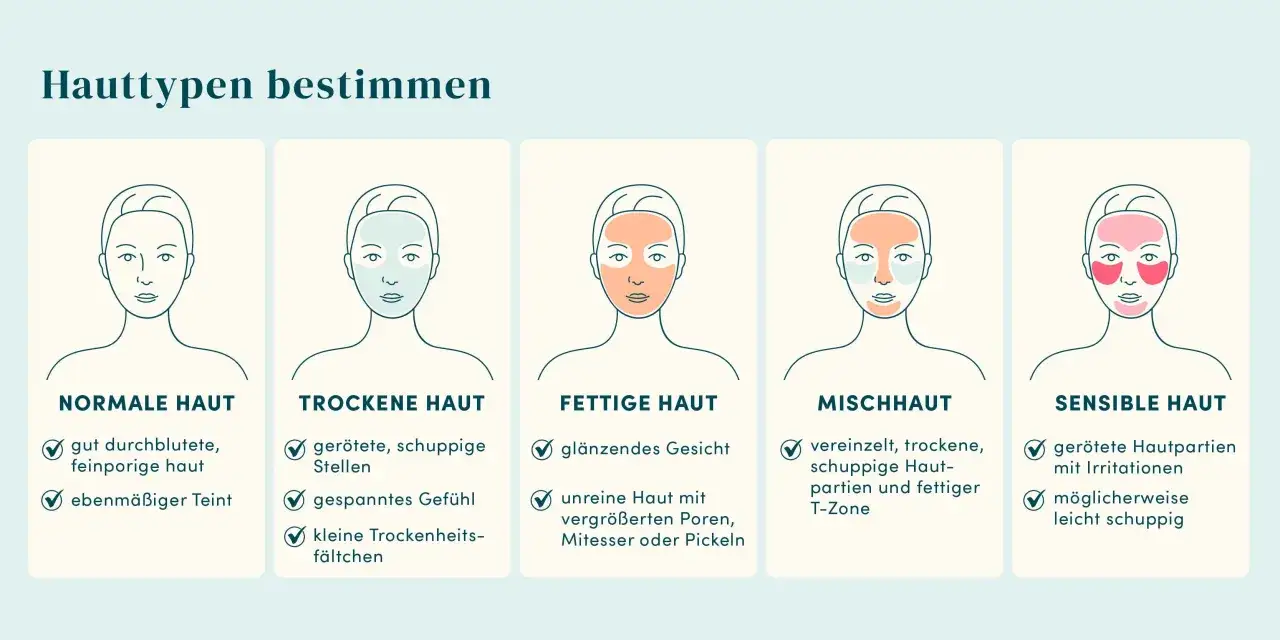 Illustrationen zeigen f&uuml;nf Hauttypen: normal, trocken, fettig, Mischhaut und sensibel. Hilft bei der Bestimmung, welcher Hauttyp ich bin.