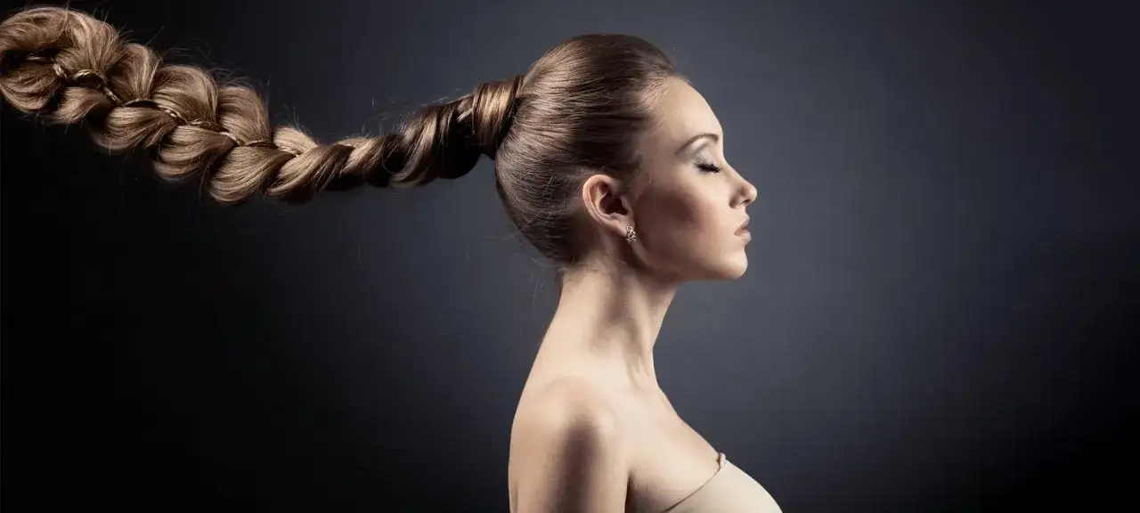 Ein elegantes Zopf-Meisterwerk, das zeigt, wie schön flechtfrisuren einfach sein können.