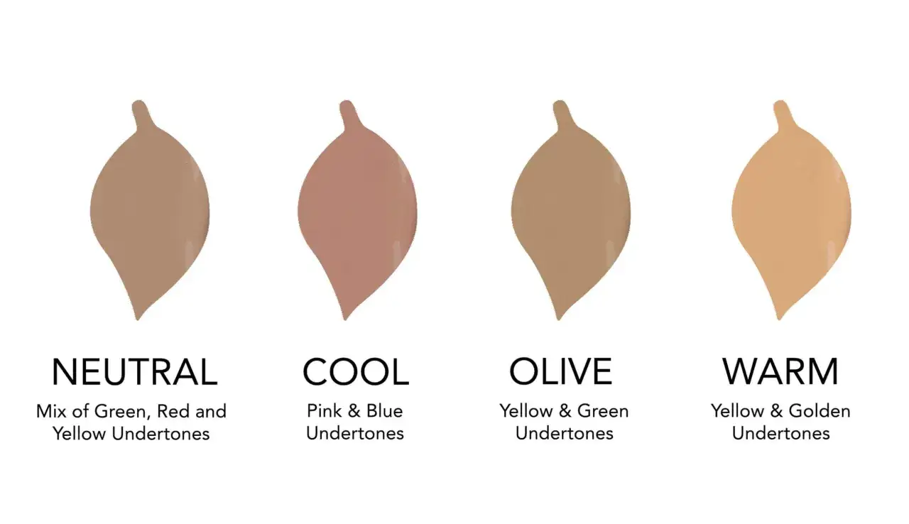 Vier Farbproben zeigen, wie man den unterton haut bestimmt: Neutral, Cool, Olive und Warm.